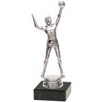 Pohár volejbal hráč 17 cm – Zbozi.Blesk.cz