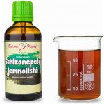 Bylinné kapky Pavlovy Schizonepeta TCM tinktrura 50 ml – Hledejceny.cz
