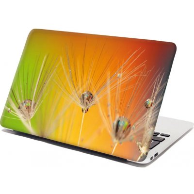 Sablio Samolepka na notebook Odkvetlé pampelišky 2 - 38x26 cm – Zboží Živě