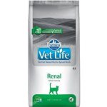 Vet Life Cat Renal 10 kg – Zboží Dáma Vet Life Cat Renal 10 kg – Zboží Dáma