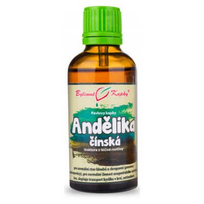 Andělika angelika, děhel čínská TCM bylinné kapky tinktura 50 ml – Zbozi.Blesk.cz