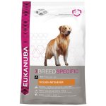 Eukanuba Golden Retriever 2 x 12 kg – Hledejceny.cz