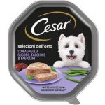 Cesar s jehněčím, krůtím masem a fazolkami 150 g – Sleviste.cz