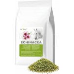 Dromy Echinacea 1 kg – Hledejceny.cz
