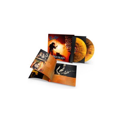 Savatage - Ghost In The Ruins Orange,Black Gatefold LP – Hledejceny.cz