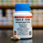 Sinecura FBH1.9 shengma gegen tang 60 tablet – Hledejceny.cz