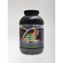 Boditronics Express Whey Anabolic 2000 g