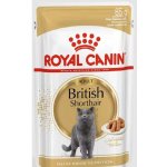 Royal Canin British Shorthair Gravy 85 g – Hledejceny.cz