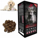 Alpha Spirit Semi-Moist Complete Puppies 9 kg – Zboží Mobilmania