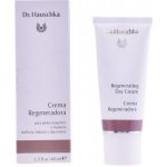 Dr. Hauschka Regenerating Day Cream 40 ml – Hledejceny.cz