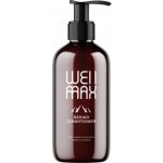 WellMax Repair Conditioner 250 ml – Zbozi.Blesk.cz