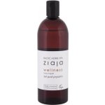 Ziaja Baltic Home Spa Fit sprchový gel 500 ml – Hledejceny.cz