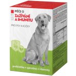 Pet Health Care FYTO Péče o zažívání a imunitu pro psy a kočky 90 tablet – Zboží Mobilmania