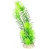 Akvarijní rostlina I--Z Europet Bernina Hornwort zelená 24 cm