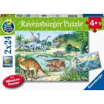 Ravensburger 05128 Dinosauři a jejich prostředí 2 x Proč? Co? Jak? 24 dílků – Hledejceny.cz