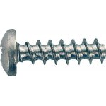 SCH PLASFAST®-šroub s půlkulatou hlavou PZ1 ocel pozink Varianta: PLASFAST®-šroub s půlkulatou hlavou 5.0x 16 PZ2 ocel pozink – Hledejceny.cz