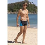 Pánské boxerkové plavky Bruno šedé – Zboží Mobilmania