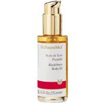 Dr. Hauschka trnkový pěstící olej 75 ml – Sleviste.cz