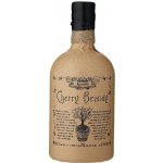 Rumbullion Cherry Brandy 27,8% 0,5 l (holá láhev) – Zboží Mobilmania