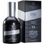 DSD Dixidox Deluxe Steel and Silk Tratment Spray 100 ml – Hledejceny.cz