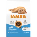 IAMS Advanced Nutrition Kitten s mořskou rybou 10 kg – Hledejceny.cz