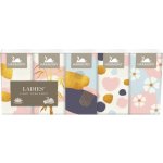 Harmony Ladies' papírové kapesníčky 3-vrstvé parfémované 10 x 10 ks – Zboží Dáma