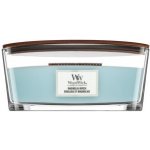 WoodWick Magnolia Birch 453,6 g – Sleviste.cz