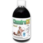 Orling ChondroCat Biosol 500 ml – Hledejceny.cz