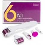 Ortek Derma roller pro mikrojehličkování 6 v 1 na obličej a tělo – Sleviste.cz