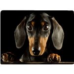 Zolux Podložka pro psy pod misku pejsci L – Zboží Mobilmania