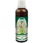 Naděje Ostružiník tinktura z pupenů 50 ml – Hledejceny.cz