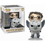 Funko Pop! 123 Harry Potter and Buckbeak – Zboží Dáma
