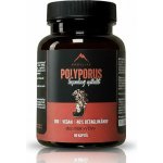 Hrotlife Polyporus 90 kapslí – Hledejceny.cz