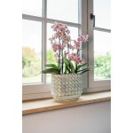 Ter Steege Váza široká Jim white earth D26x13 H21 – Hledejceny.cz