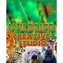 Wildlife Creative Studio