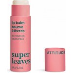 Bio Spectra přírodní balzám na rty attitude leaves bar s vůní melounu 8,5 g – Zboží Dáma