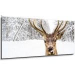 Skleněný obraz 1D panorama - 120 x 50 cm - Deer with beautiful big horns on a winter country road Jelen s krásnými velkými rohy na zimní venkovské cestě – Sleviste.cz