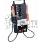 Compass ANALOG 100A 6/12V – Hledejceny.cz