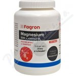 Fagron Magnesium 500 + vit.B6 100 tablet – Hledejceny.cz