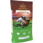 Energys Kuře Mini drcené 10 kg – Zboží Dáma