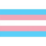 Vlajka trans hrdosti vlajka - 60 x 90 cm - tunel, karabina – Hledejceny.cz