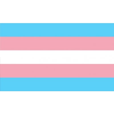 Vlajka trans hrdosti vlajka - 60 x 90 cm - tunel, karabina – Hledejceny.cz