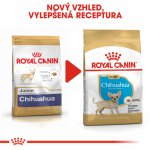 Royal Canin Chihuahua Puppy 1,5 kg – Zbozi.Blesk.cz