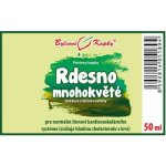 Bylinné kapky Rdesno mnohokvěté tinktura 50 ml – Hledejceny.cz