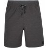 Pánské kraťasy a šortky O NEILL ALL DAY SOLID HYBRID shorts 2800048-18014