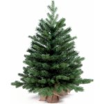 Laalu.cz Vánoční stromek jedle Bernard v květináči 75 cm – Zboží Dáma