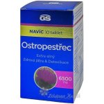 GS Ostropestřec 6500 mg 60 + 10 tablet Dárkové balení – Hledejceny.cz