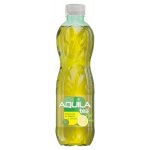 Aquila Tea Zelený čaj se šťávou z citronu 12 x 0,5 l – Zboží Mobilmania