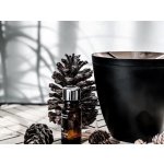 Stadler Form Zoe Black – Zboží Mobilmania