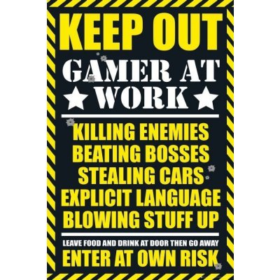 Plakát, Obraz - Gaming - keep out, (61 x 91.5 cm) – Hledejceny.cz